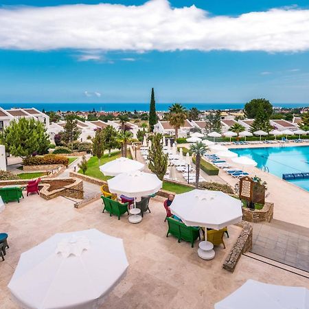 The Olive Tree Hotel Agios Epiktitos Exterior photo