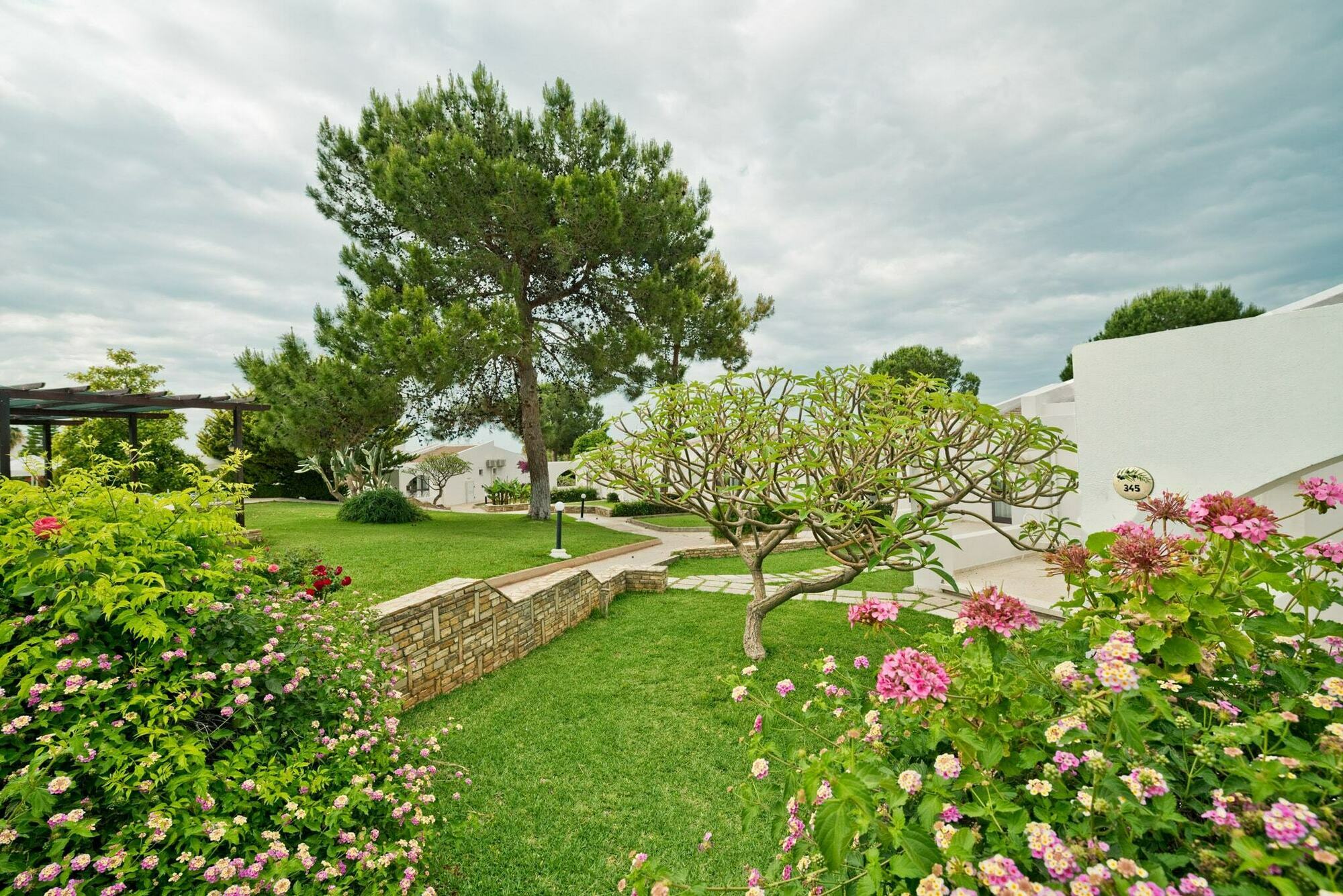 The Olive Tree Hotel Agios Epiktitos Exterior photo
