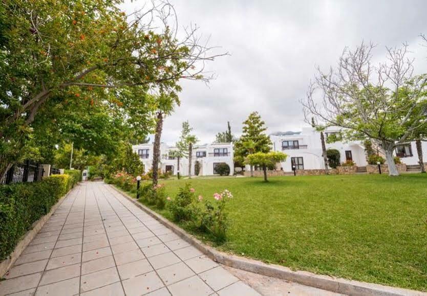 The Olive Tree Hotel Agios Epiktitos Exterior photo