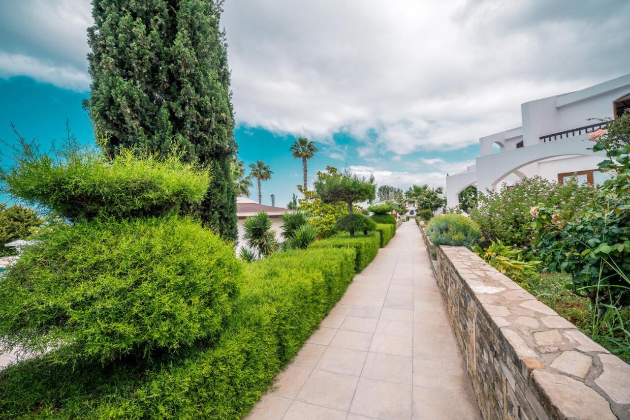 The Olive Tree Hotel Agios Epiktitos Exterior photo