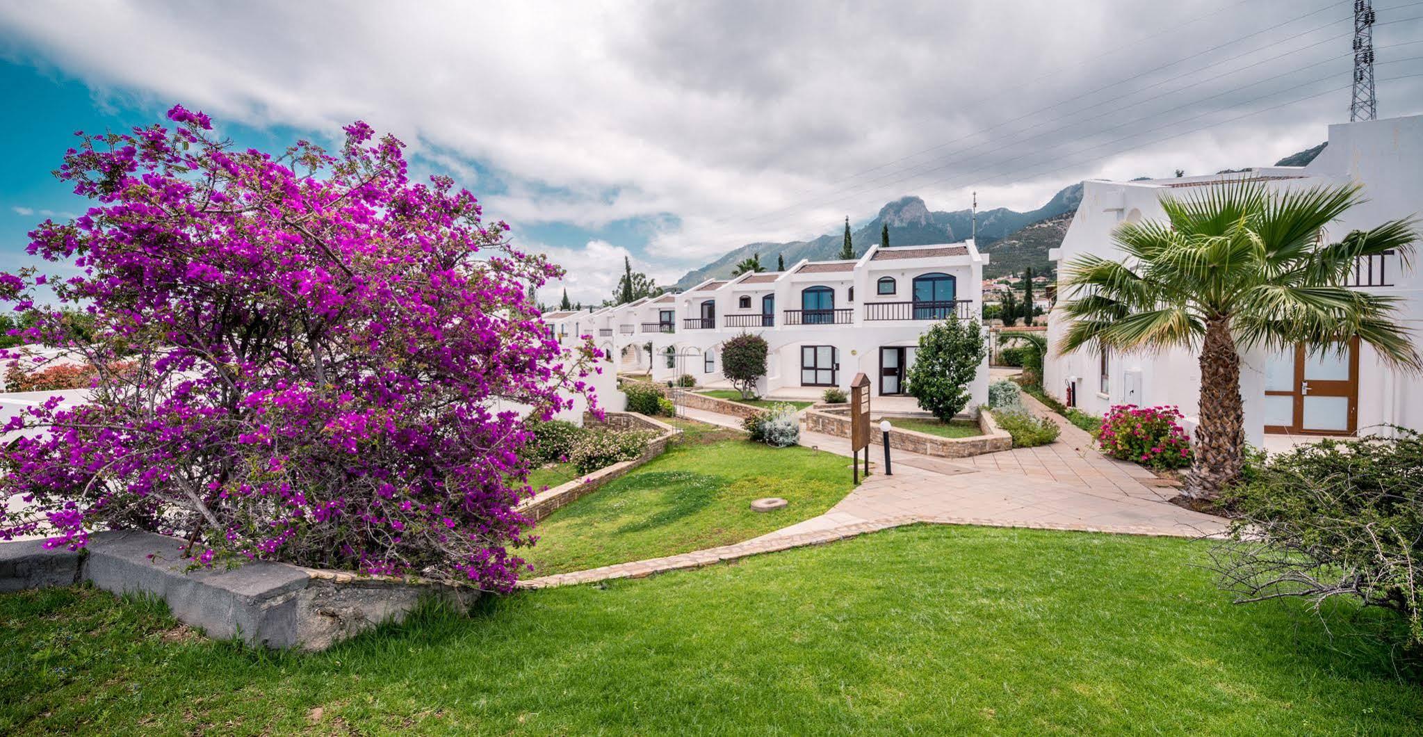 The Olive Tree Hotel Agios Epiktitos Exterior photo